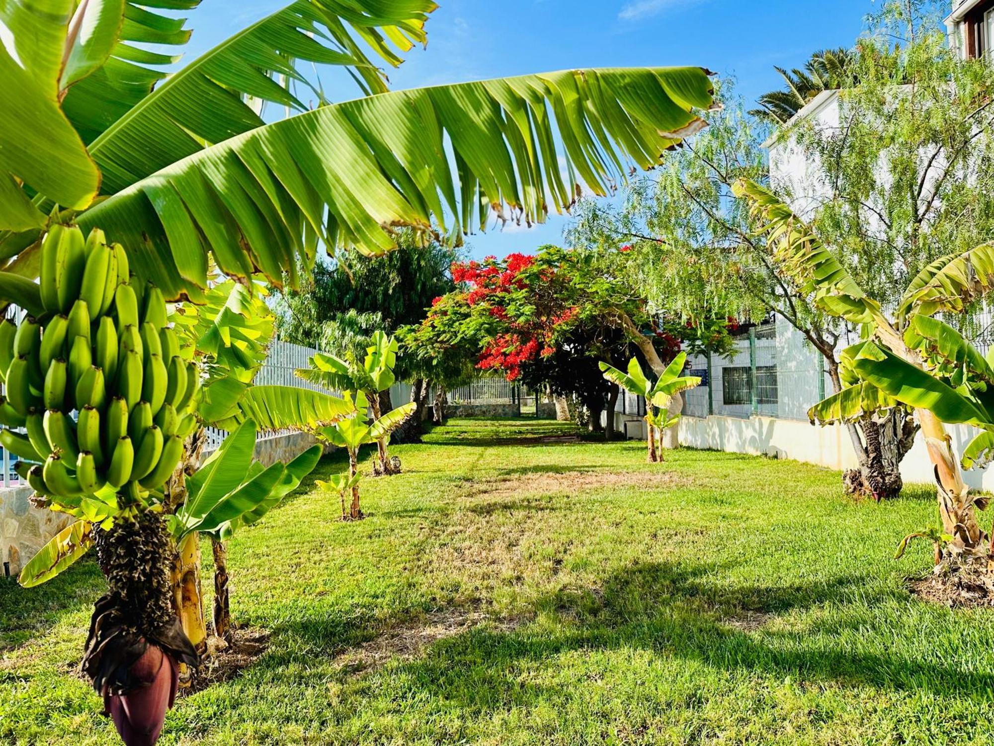 Quiet Chayofita Apartment